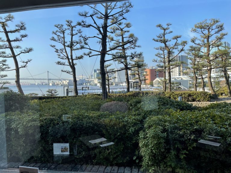 シェフズライブキッチンから見た外の風景