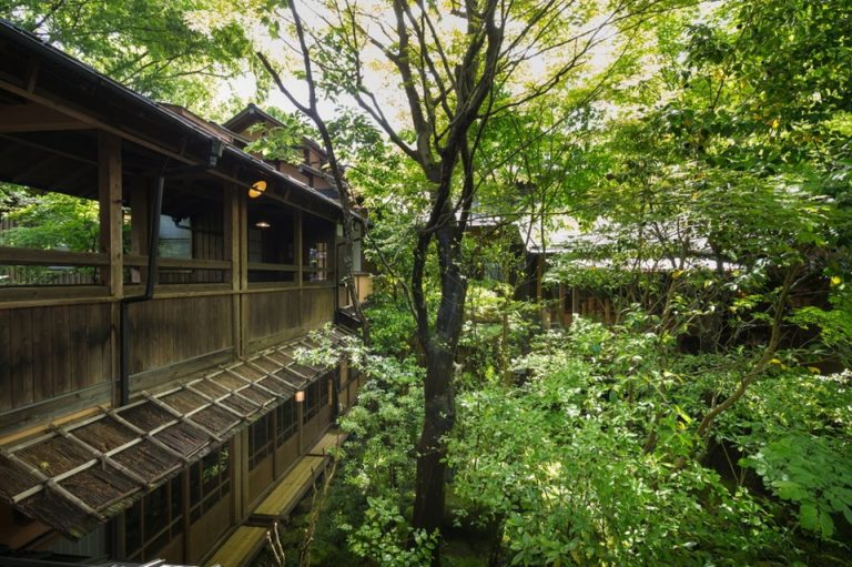 ca51e599812a90d877a08f7b61d16c1cf10cd88c.47.1.26.2