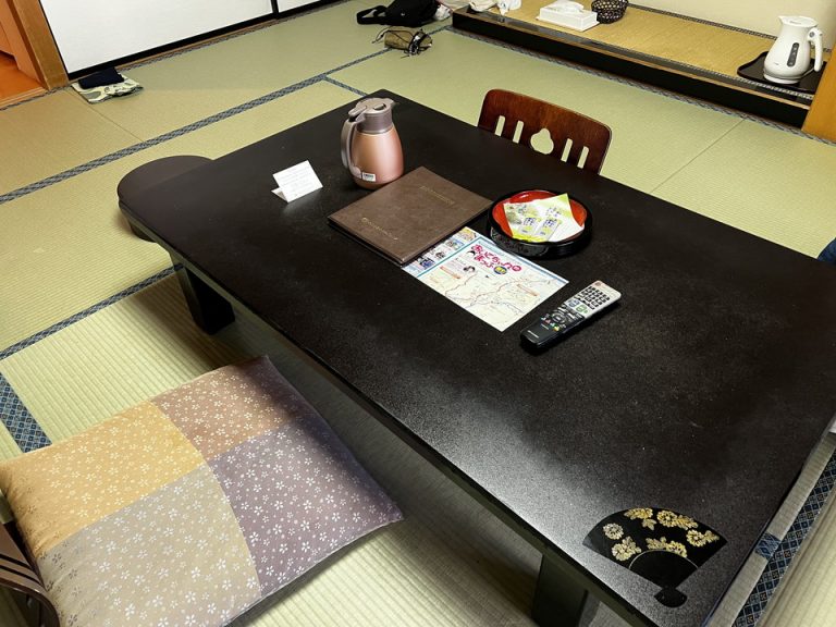 机全景