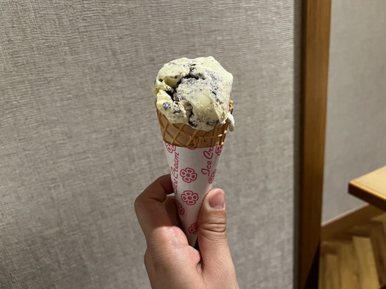 アイスはコーンに入れてくれる