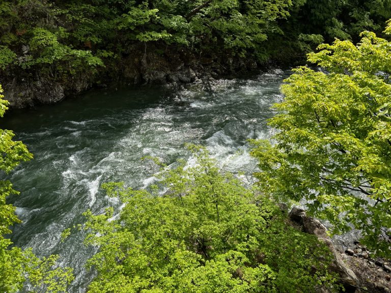 2Fロビー奥テラスからの利根川(1)