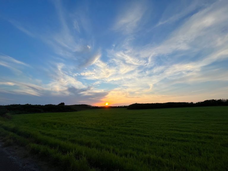 ホテル前道路サンセット