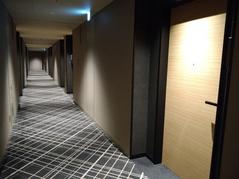 客室入口付近廊下