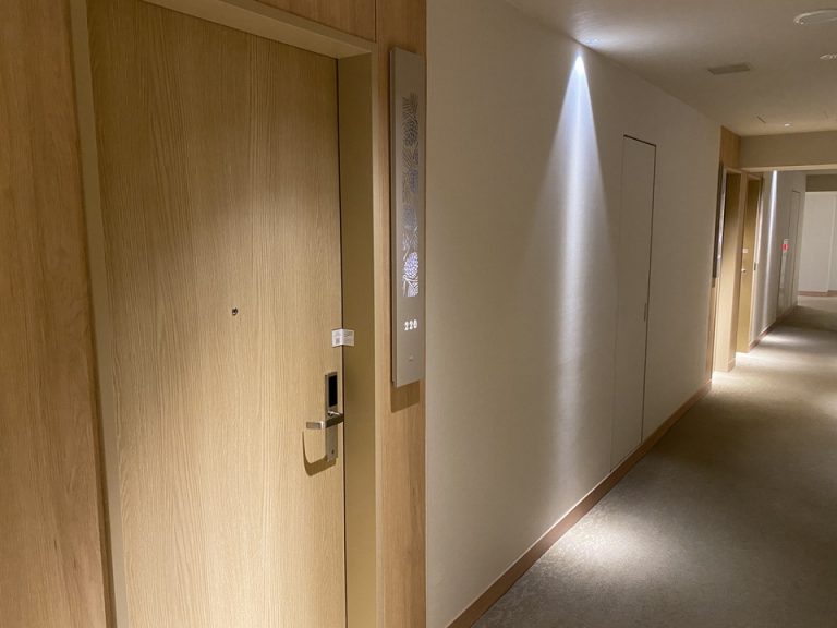 客室入口付近廊下