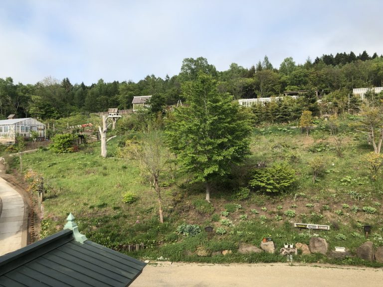 部屋からの眺望2