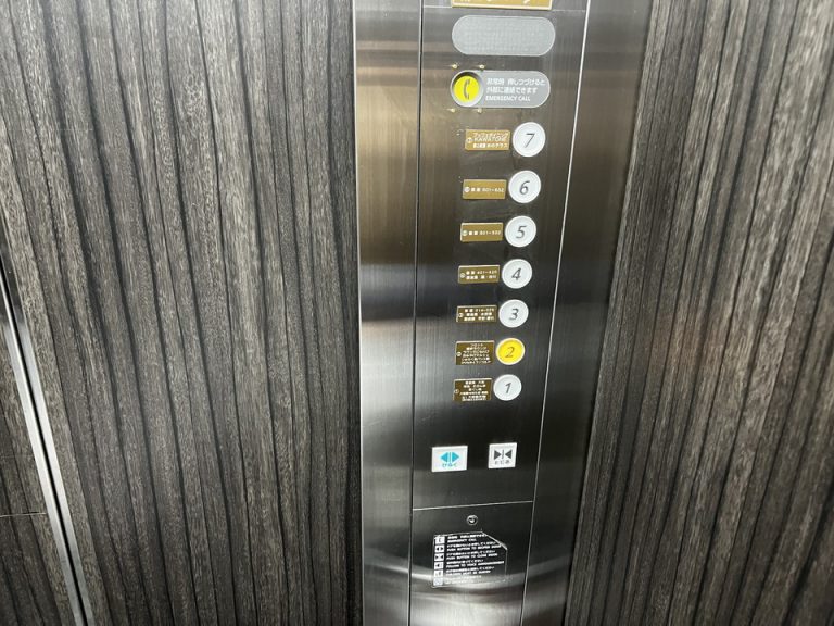 ELV内観