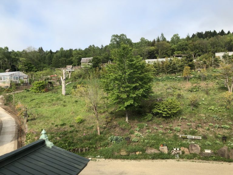 ホテル眼前にある庭1