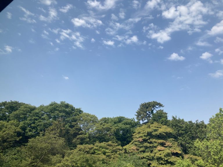 客室からの眺望