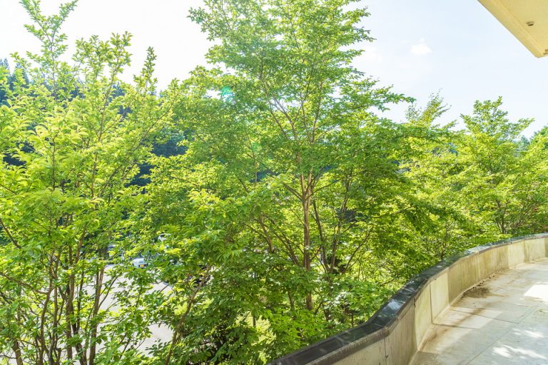 客室窓。バルコニーはありませんでした