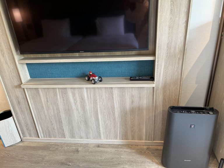 空気清浄機も完備