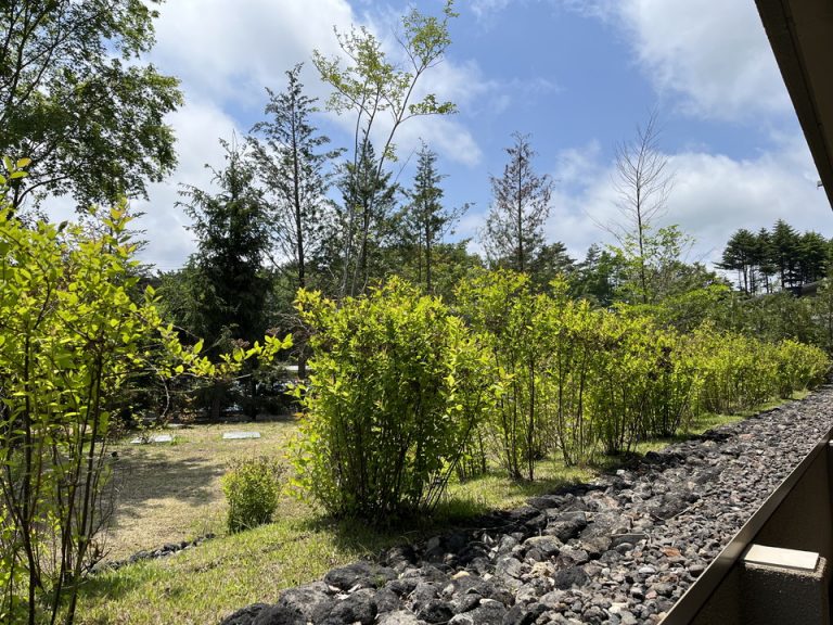 天気が良いと緑が気持ちいいテラス