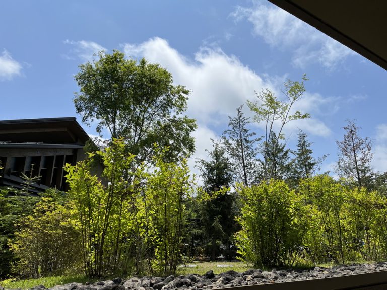 目線が地面にあるため空が高く見え気持ち良い