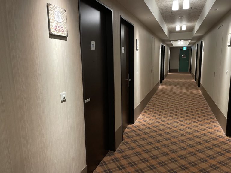 客室入口付近廊下