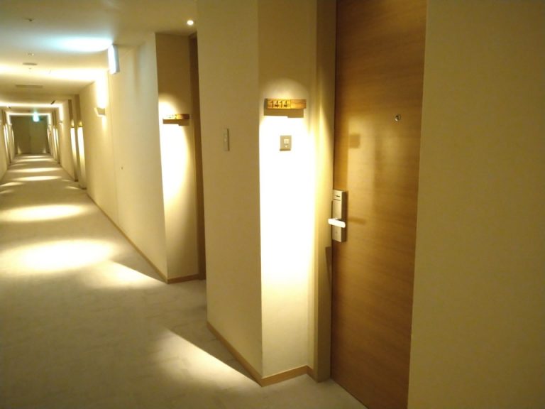 客室入口付近廊下