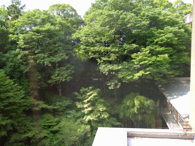 客室からの景色昼