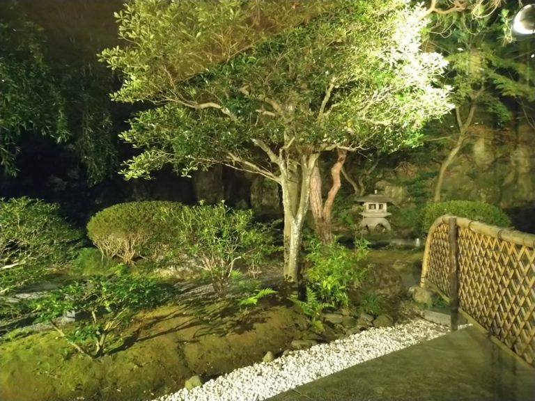 ライブラリーコーナーから見える庭園