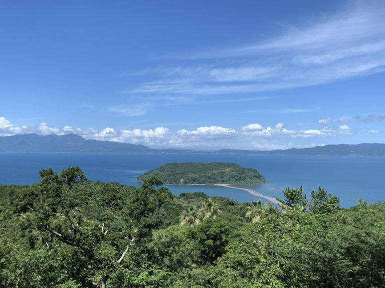 魚見岳から見る知林ヶ島