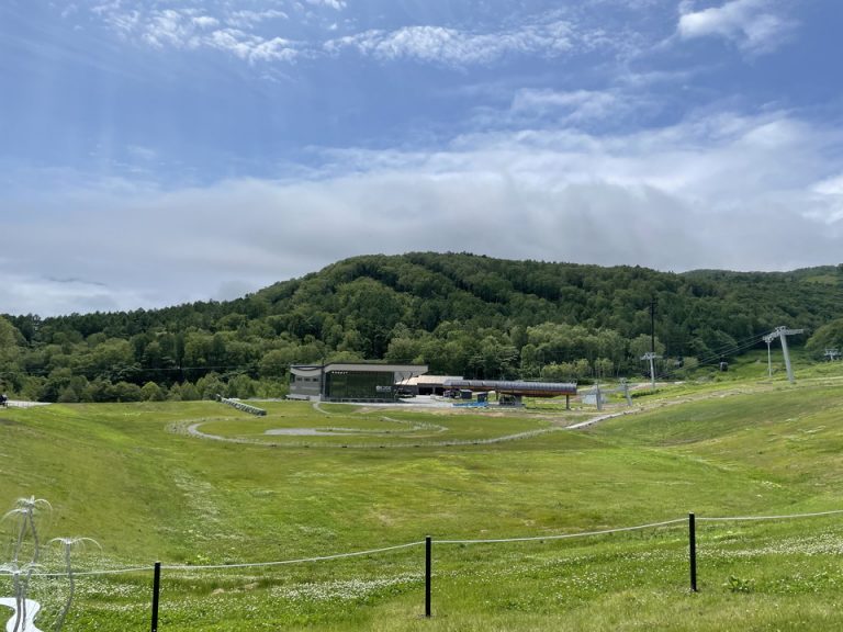 庭の奥にショップがある 水着も販売しているそう