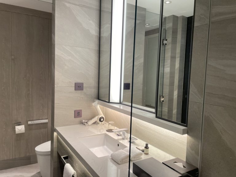 入り口近くのシャワーからみた洗面台とトイレ