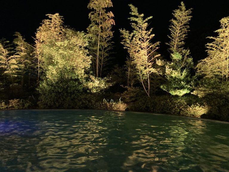 様々な光にライトアップされたプール