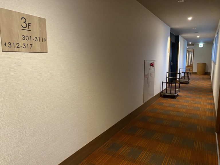 客室入口付近廊下