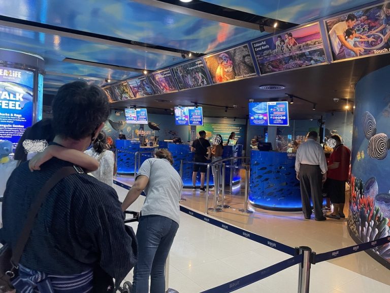 観光施設:水族館JPG