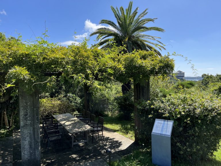 観光スポット藤棚会談