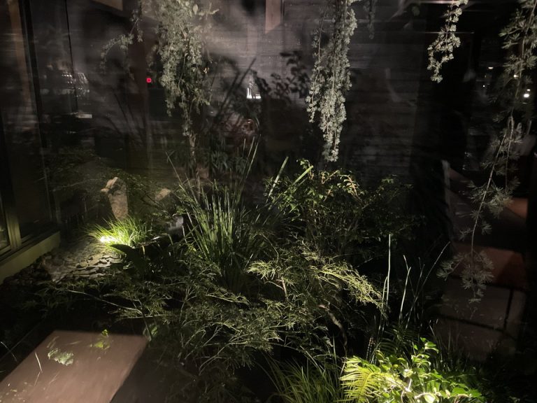 フロント近くの中庭(2)