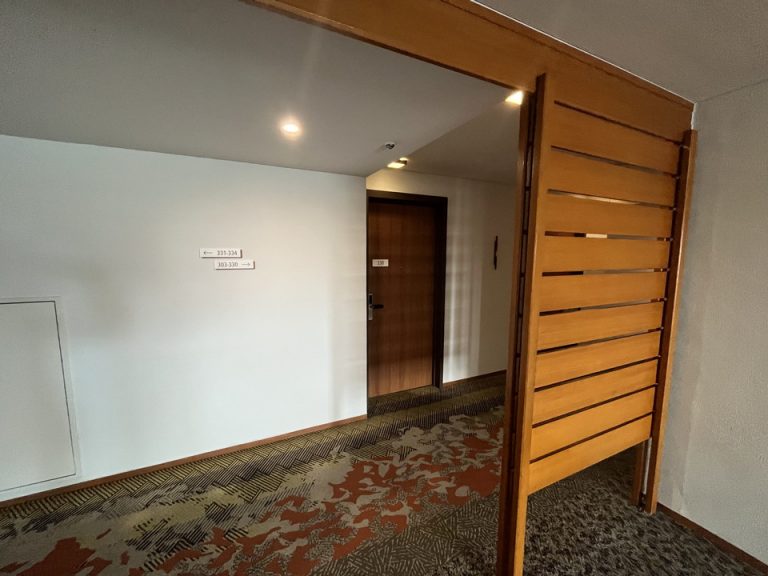 客室入口付近廊下EIC