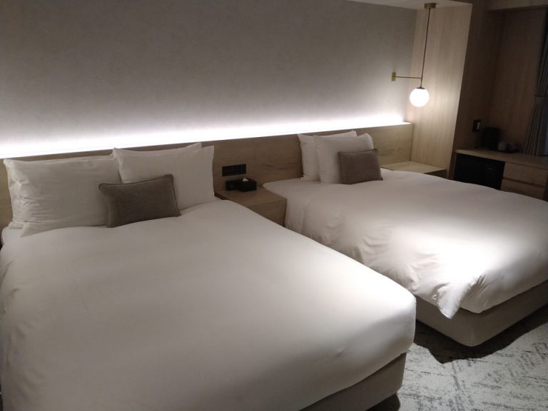客室全体(窓際方向)