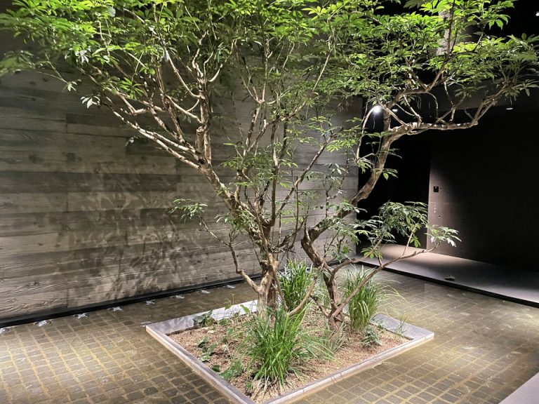 エレベーターホール近くの中庭