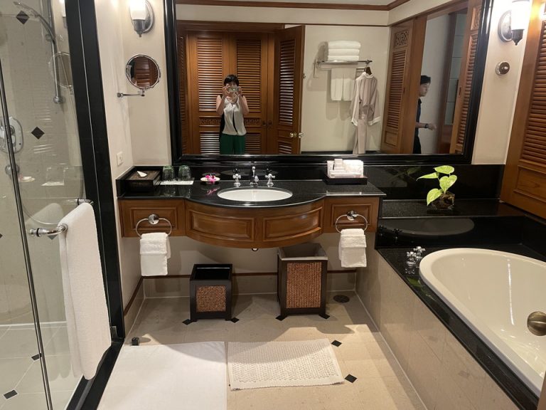 バスルーム入り口からの全景