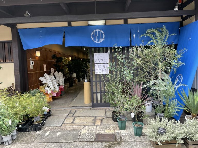オープンしたばかりの観葉植物専門店