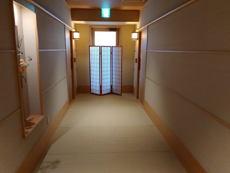 客室入口付近廊下4