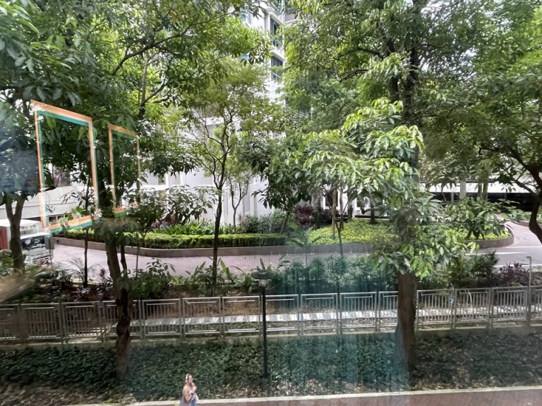 客室窓からの景色