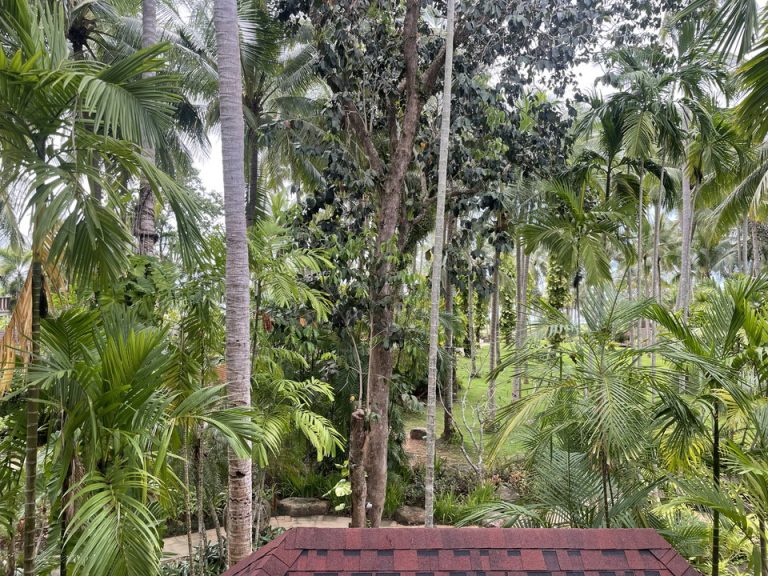 部屋からの眺望(昼間)