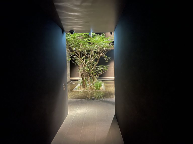 エレベーターホールまでの廊下(2)