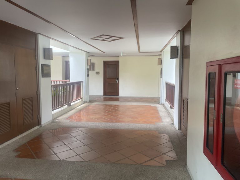 客室入り口付近廊下 (1)