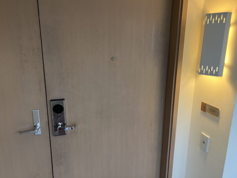 客室入口外観ドア