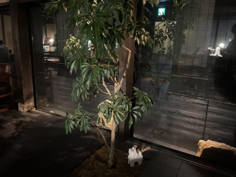 フロント近くの中庭