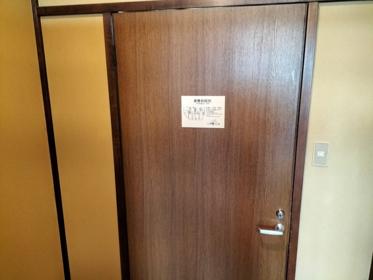 客室入り口内観ドア (1)