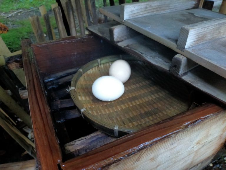 温泉卵が食べられる(1)