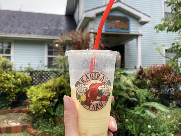 パッションフルーツやマンゴーのドリンクが美味しいです