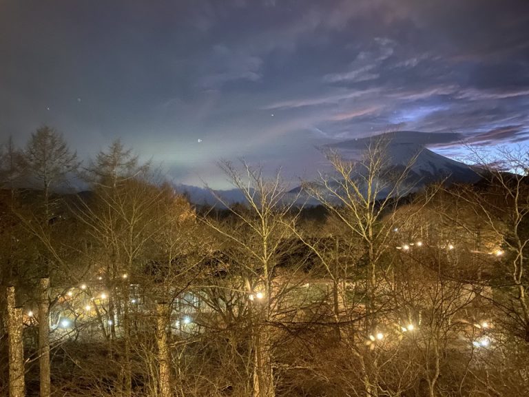 客室からの眺望(夜間)