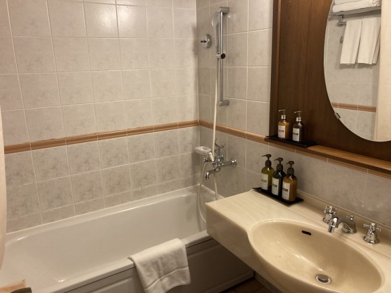 浴室。バスタブとシャワーは独立していません。