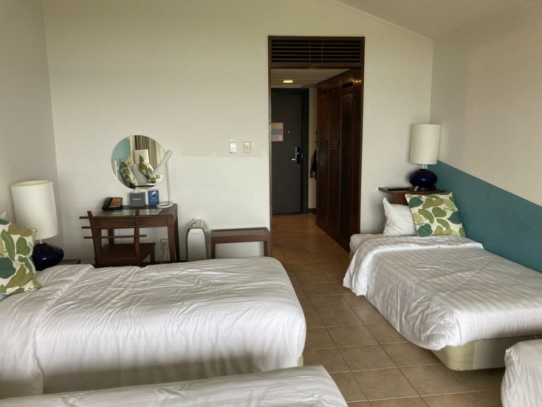 窓側から見た客室内。