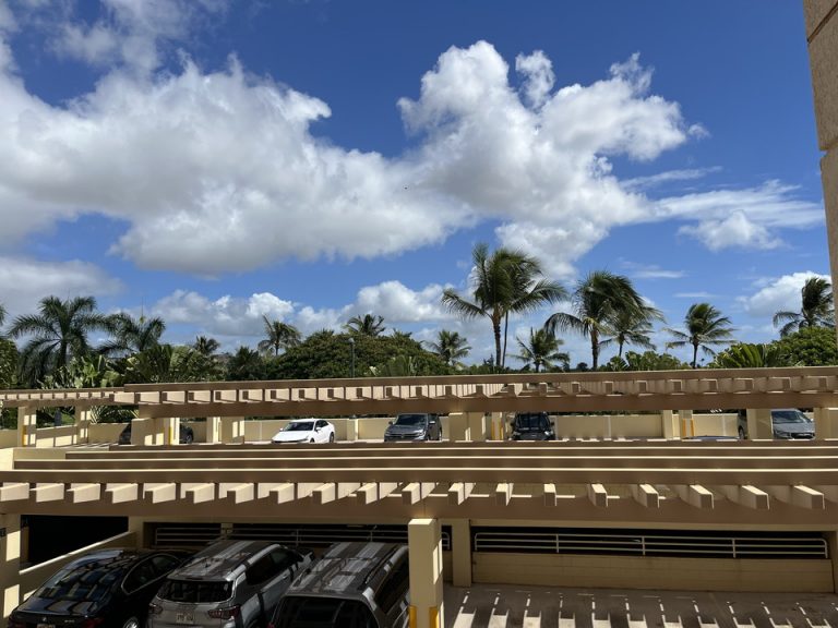 部屋からの展望