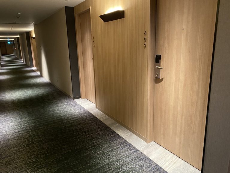 客室入口付近廊下