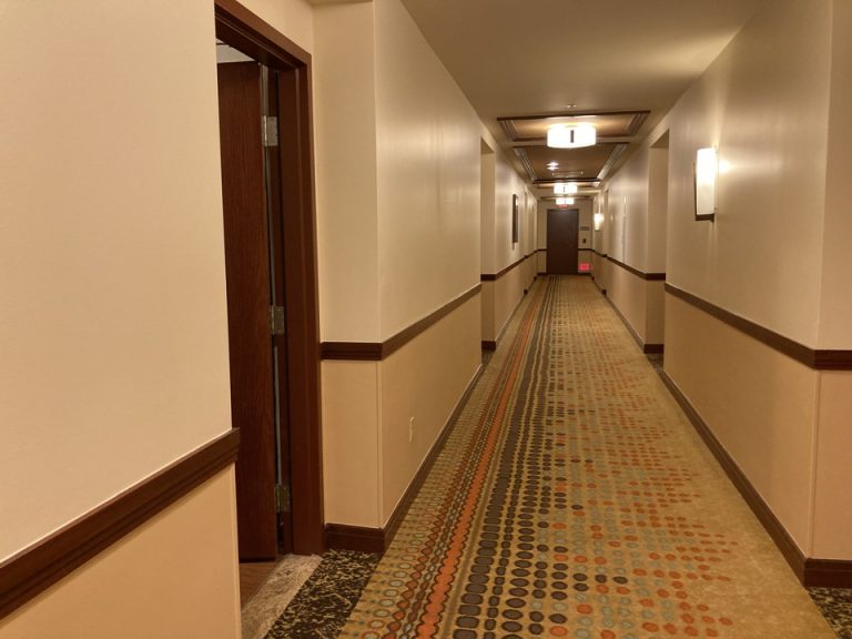 客室入口付近廊下