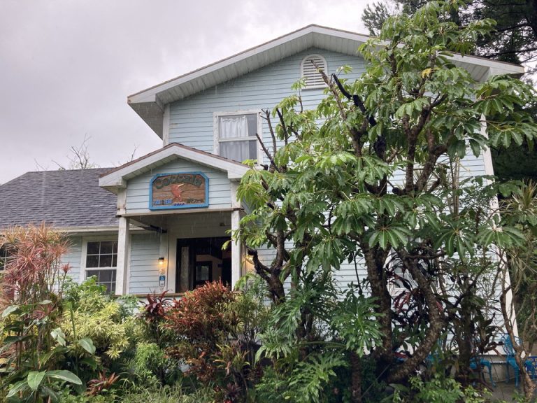 川平の森にひっそりある川平ファーム